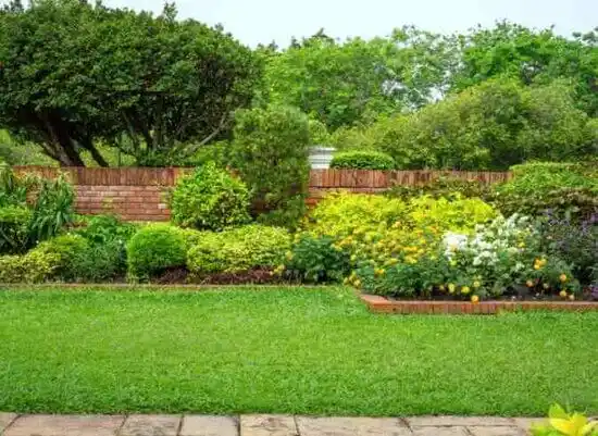 landscaping services Indian Springs